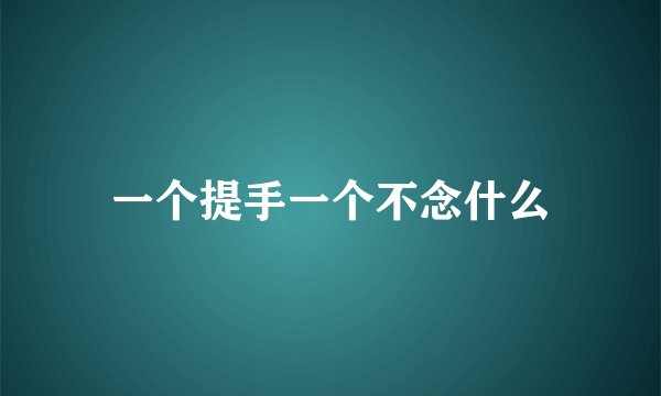 一个提手一个不念什么