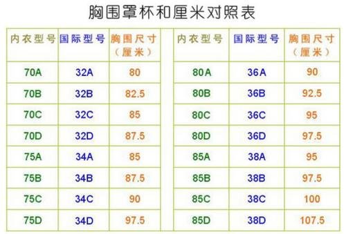36e是多大胸围?