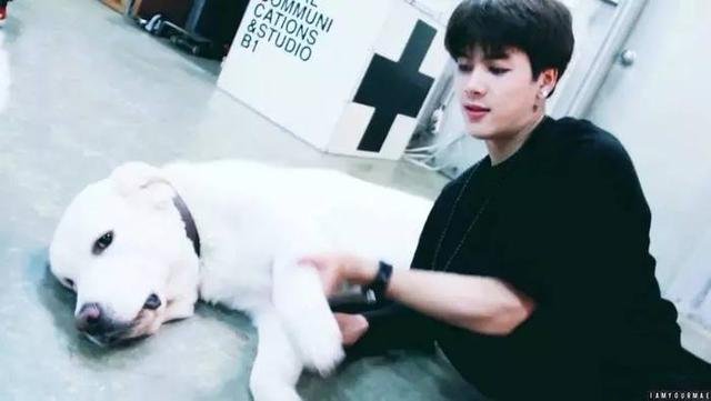 王嘉尔是不是因为周子瑜事件开始红的？