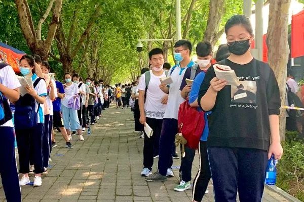 高考怎么查排名