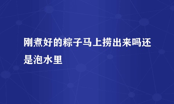 刚煮好的粽子马上捞出来吗还是泡水里