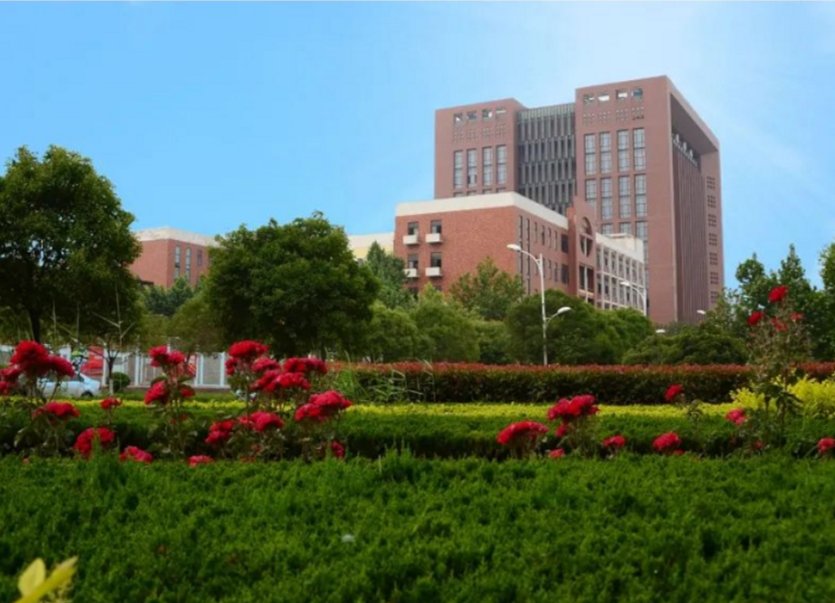 新科学院是哪个大学