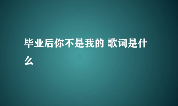 毕业后你不是我的 歌词是什么