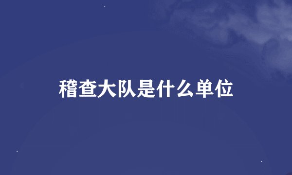 稽查大队是什么单位