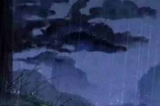 宁静的雨夜想起了他是什么歌
