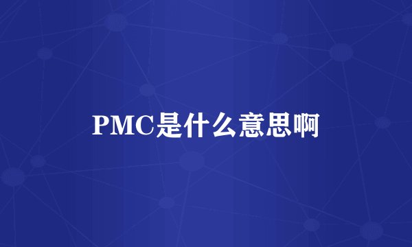 PMC是什么意思啊