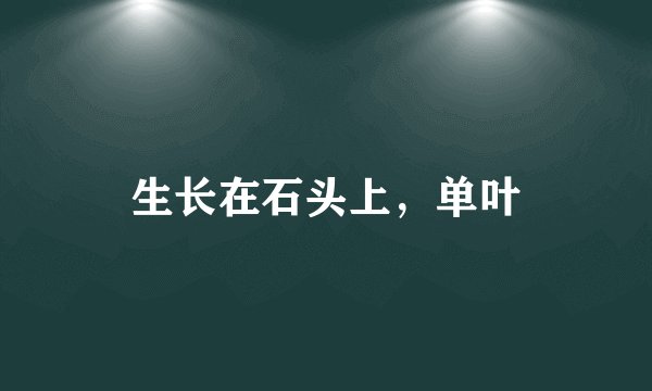 生长在石头上，单叶