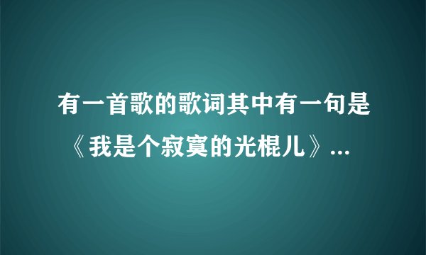 有一首歌的歌词其中有一句是 《我是个寂寞的光棍儿》请问歌名是什么啊？