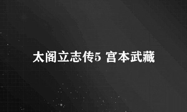 太阁立志传5 宫本武藏