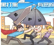 什么是“雷霆行动”？后续会推出长效的机制吗？