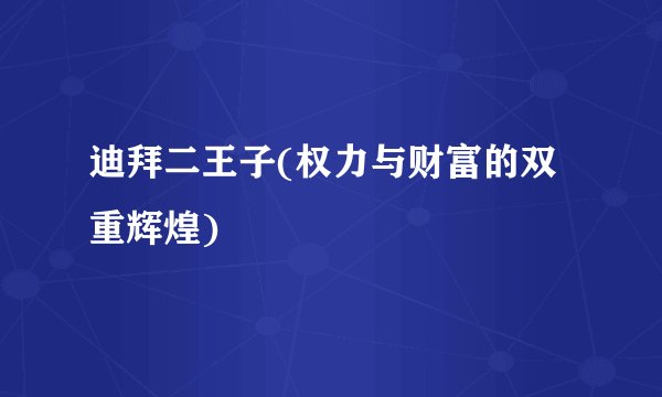 迪拜二王子(权力与财富的双重辉煌)