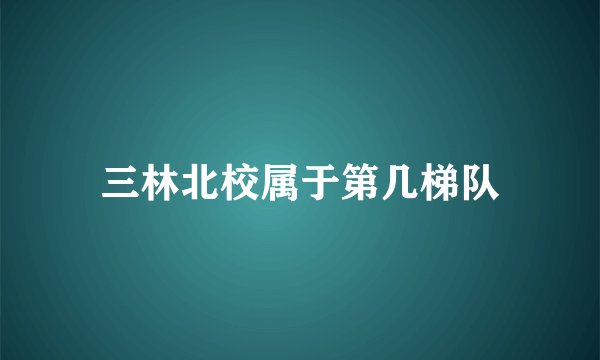 三林北校属于第几梯队