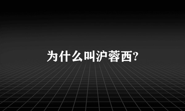 为什么叫沪蓉西?