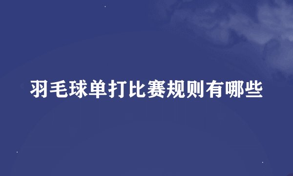 羽毛球单打比赛规则有哪些