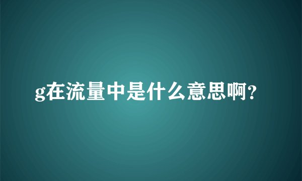 g在流量中是什么意思啊？
