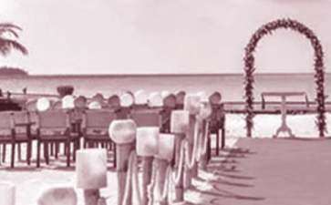 金婚唯美婚礼主持词