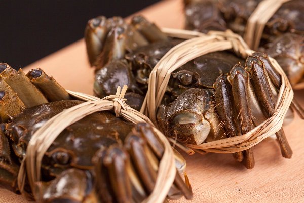 十大阳澄湖大闸蟹品牌