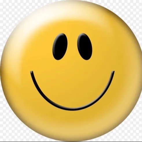 博美狗狗多少钱一只