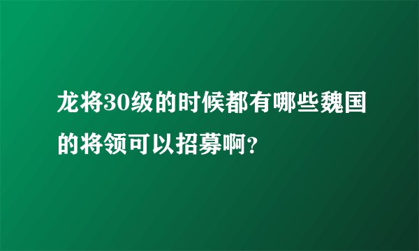 龙将30级的时候都有哪些魏国的将领可以招募啊？