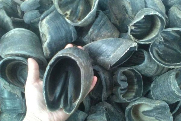 古代盗墓贼必备的5大“神器”，都是什么？