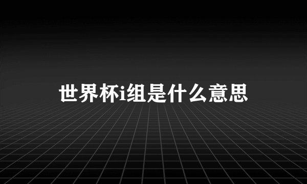 世界杯i组是什么意思