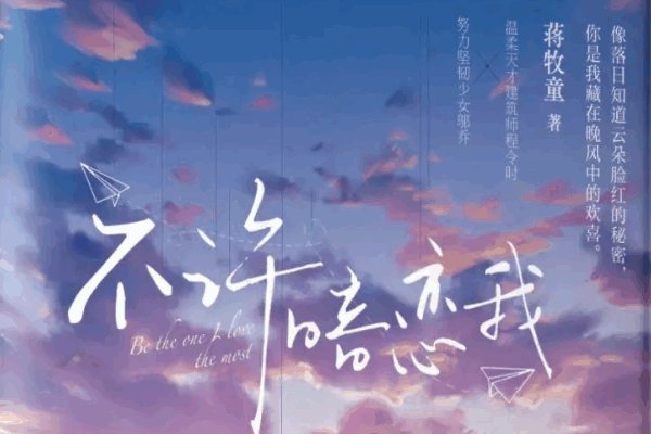 最火言情十大完结小说