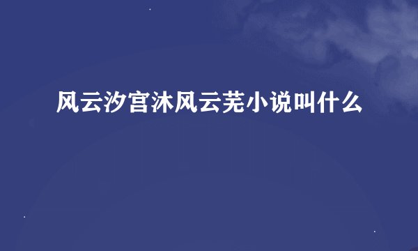 风云汐宫沐风云芜小说叫什么