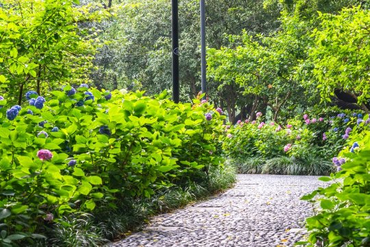 沈阳一日游攻略及路线
