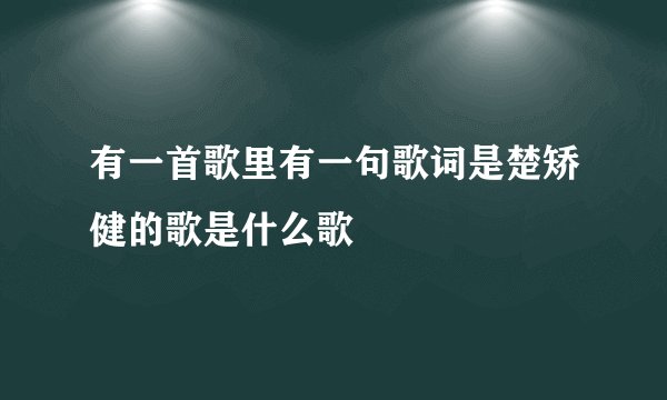 有一首歌里有一句歌词是楚矫健的歌是什么歌