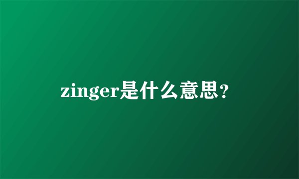 zinger是什么意思？