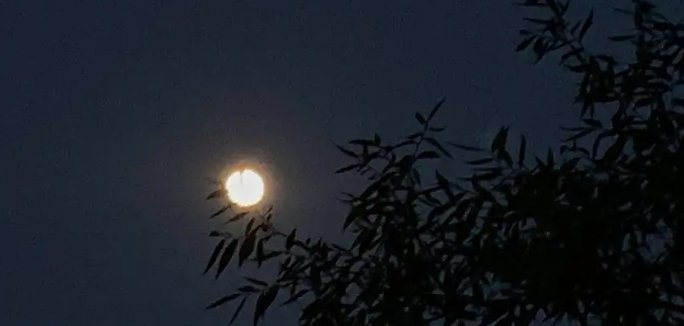 晚的笔顺洪恩识字