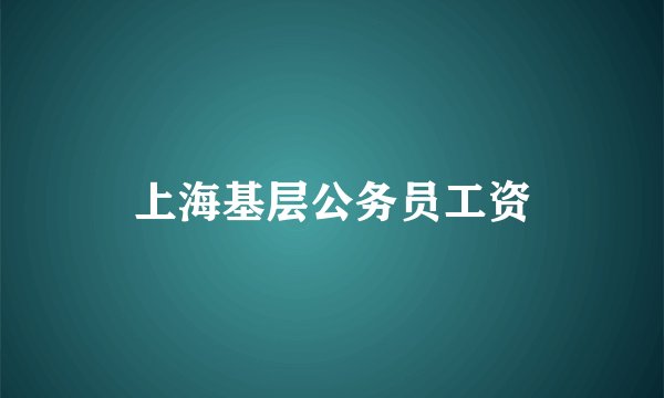 上海基层公务员工资