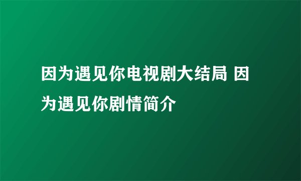 因为遇见你电视剧大结局 因为遇见你剧情简介