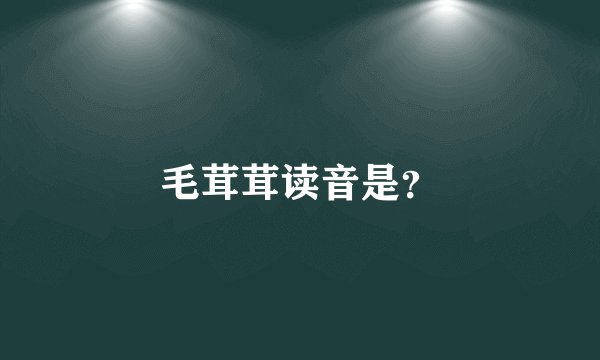 毛茸茸读音是？