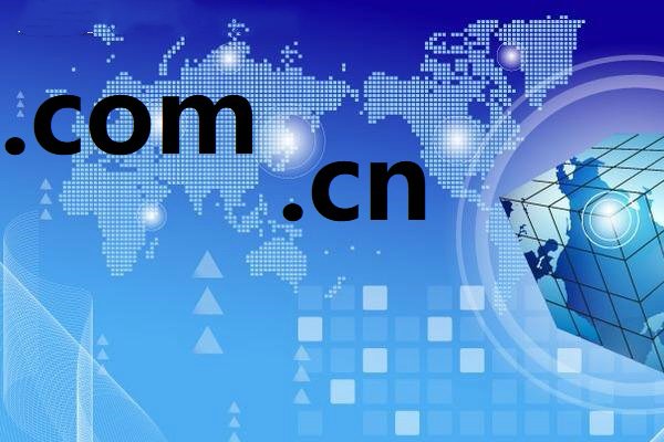 网址里的cn和com分别代表什么
