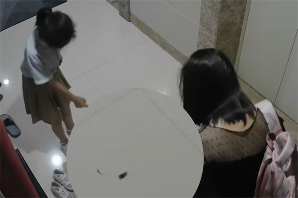 泉州一女孩脱鞋掉出蟑螂吓得大哭，蟑螂一般都出现在哪些地方？