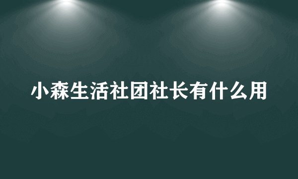 小森生活社团社长有什么用
