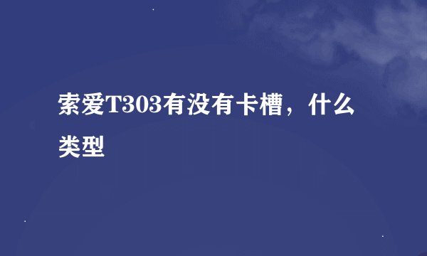 索爱T303有没有卡槽，什么类型