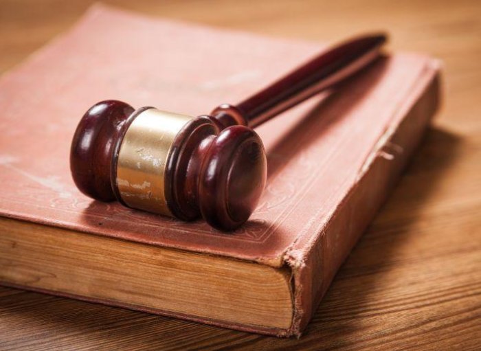 沈阳女子伪造身份出入小区购物，被立案调查，她将会面临什么处罚？