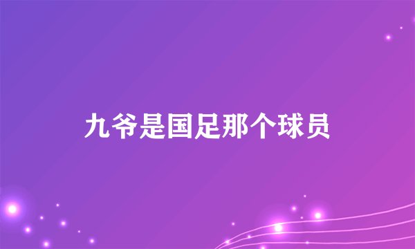 九爷是国足那个球员