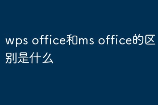 计算机二级wps和ms那个简单点？
