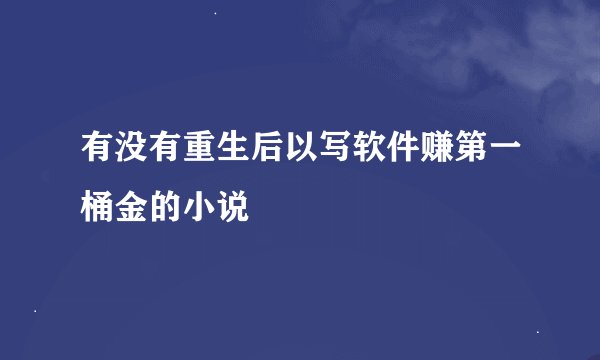 有没有重生后以写软件赚第一桶金的小说