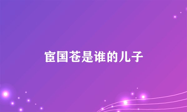 宦国苍是谁的儿子