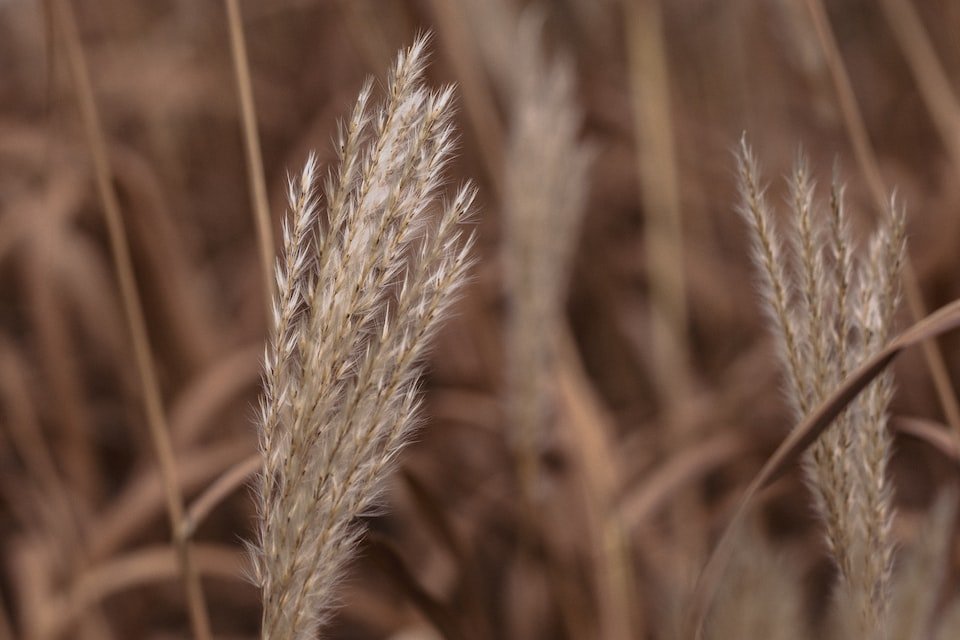 关于生活常识的选择题及答案有哪些呢