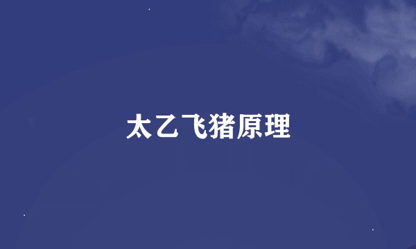 太乙飞猪原理