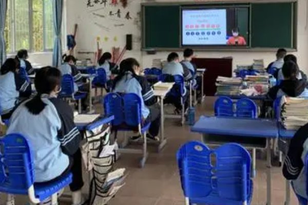 沙井中学招生办电话是多少