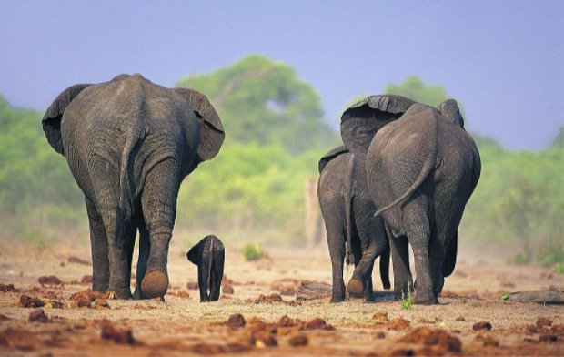 “春天来了，万物复苏，又到了……”