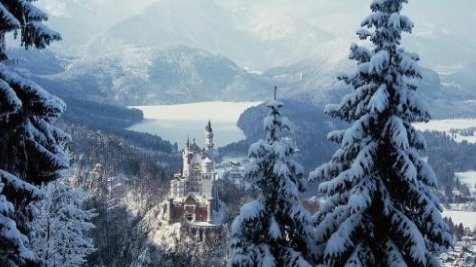 未若柳絮因风起的意思