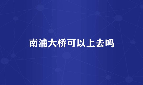 南浦大桥可以上去吗