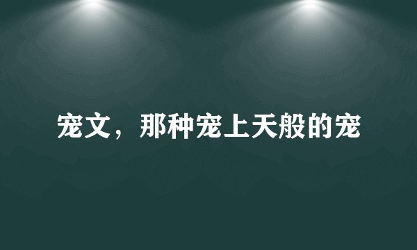 宠文，那种宠上天般的宠
